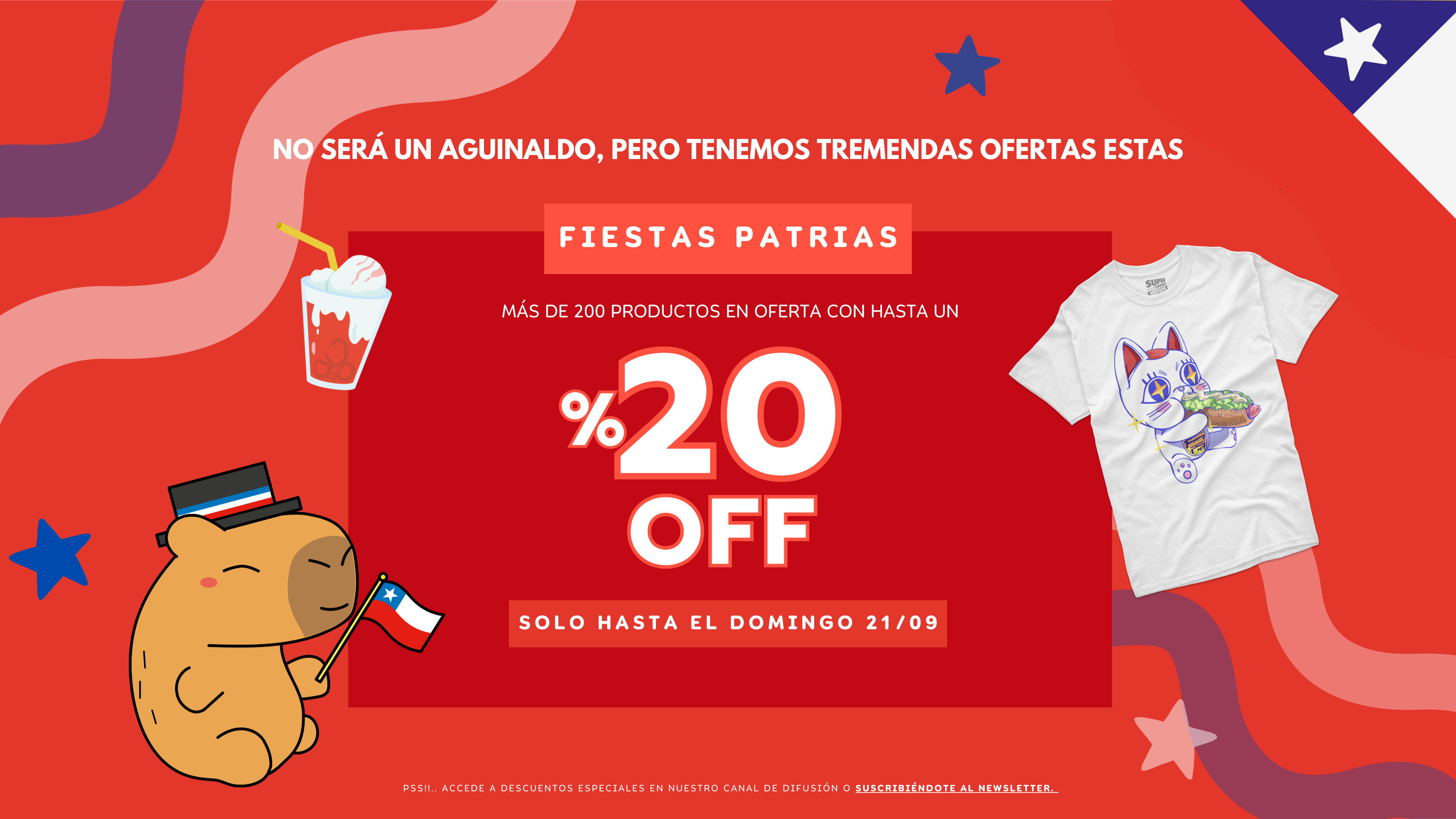 sitio web.png